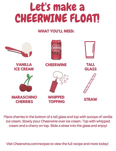 Cheerwine Float Recipe Fun